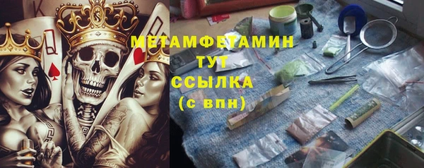 хмурый Болотное