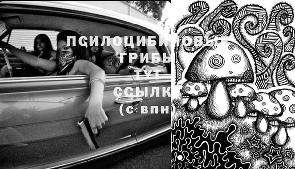 каннабис Осташков