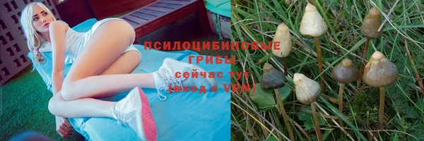 хмурый Абинск