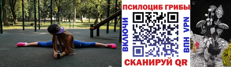 Псилоцибиновые грибы Psilocybine cubensis  магазин продажи наркотиков  Рославль 